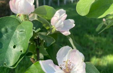 Casa da Assudra - Foto 50