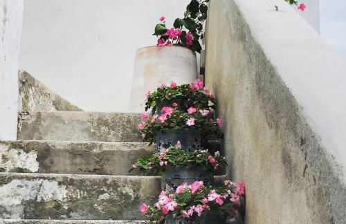 La Baia di Napoli - Foto 34