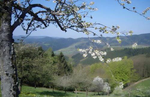 Langenberghof - Foto 21