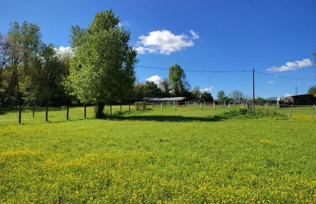 Gorgeous Vacation Home With Pool - Foto 24