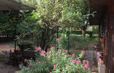 Haus Anneliese - Foto 23