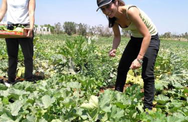 Masseria Fulcignano - Foto 80