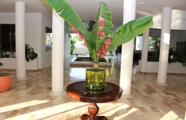 VAIA HOTELES - Foto 2