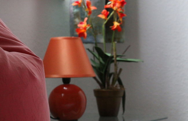 Appartement im Fuchsbau in Bad Sachsa - Foto 3