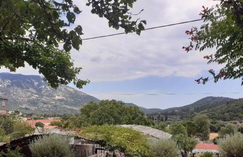 Studio Matina - Photo 7