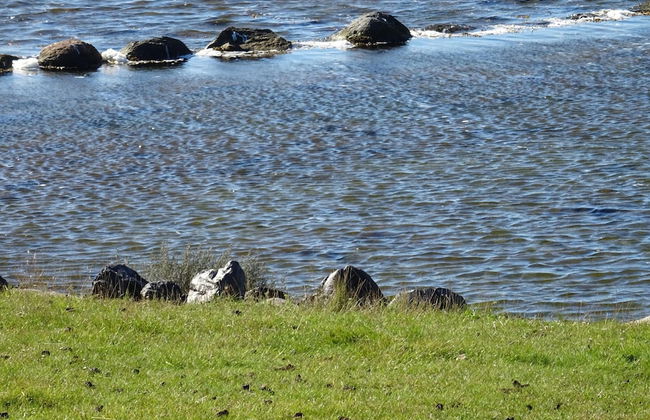 Ferienwohnung Sturmeck, Fehmarn-orth - Foto 20
