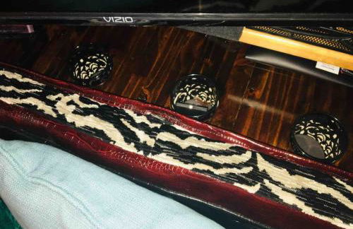 Stay Like a Rock Star Tour Bus in Durham NC - Foto 27