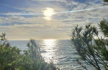 Oliver House - Foto 24