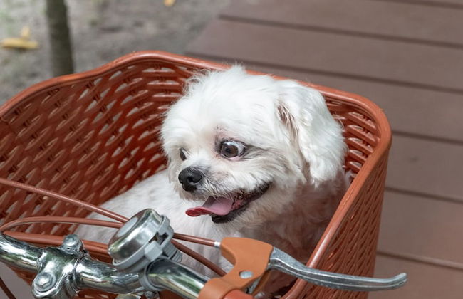 The Beatles Lagoon - Photo 32