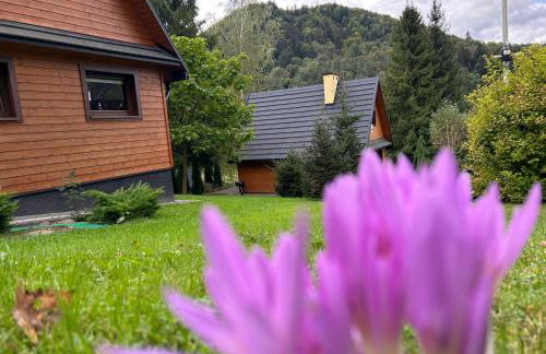 Reset Bieszczady - Foto 11