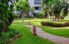 OASIS Apartment with 2 bedrooms in Jardines del Puerto - Photo 21