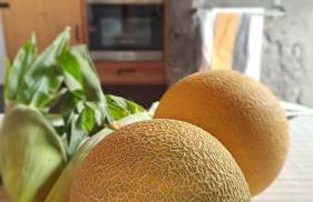 Casa Graceland - Foto 34