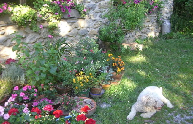 Casa Rural Goikola - Foto 19