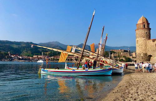 Le Mas des Alberes Piscine privative proche mer et Collioure, climatisation, parking ,WiFi - Foto 36