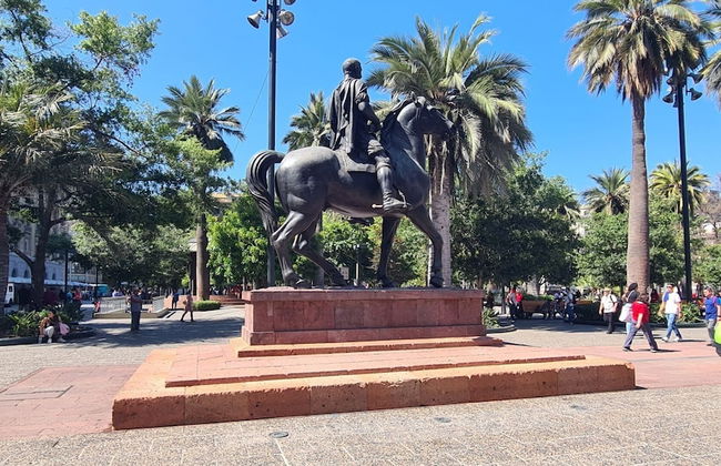 Spot Fernández Concha - Foto 24