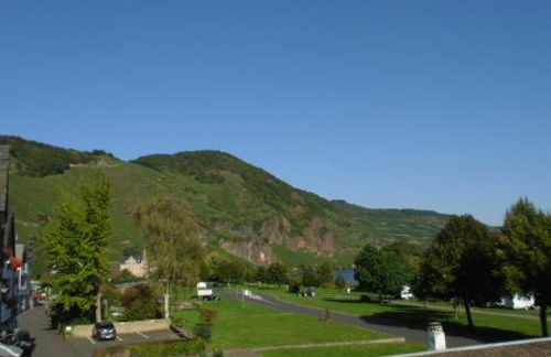 moselferienwohnungen-uerzig - Foto 19