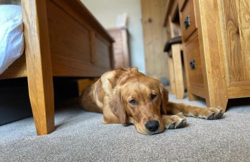 Muddy Paws Cottages - The Nook - Photo 63