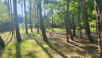 Nad Rzeczką - Foto 2