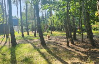 Nad Rzeczką - Foto 2