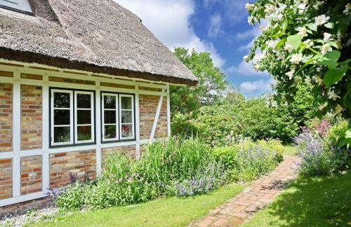 Landhaus Vilmnitz - Wohnung 8 - Foto 36