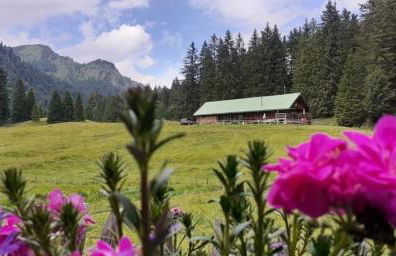 Gästehaus Kleinbuch - Foto 12