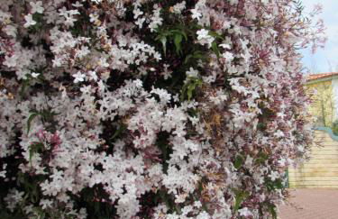 Quinta Sobral Prestige - Little Rustic - Photo 22