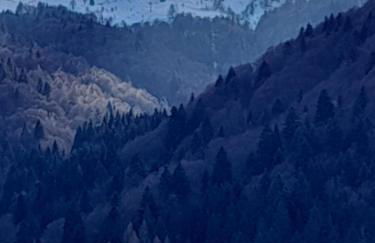 Villa Paradiso - Foto 56