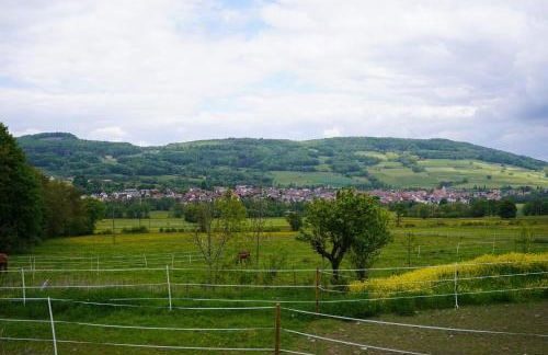 Weiherhof - Photo 16