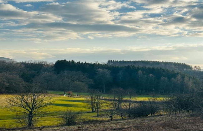 Apartment in Bruchhausen Right on the Fishing River - Foto 52