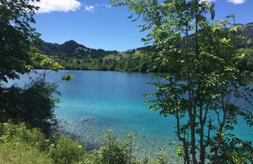 Bergblick Lodge - Photo 12