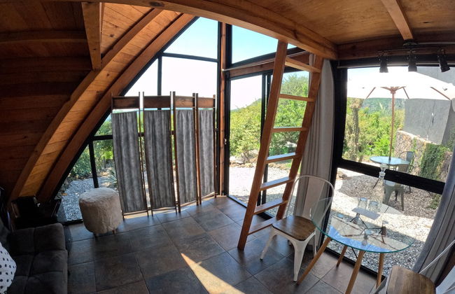 Bosque Geométrico - Foto 47