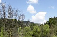 Agroturystyka Chmiel - Foto 31