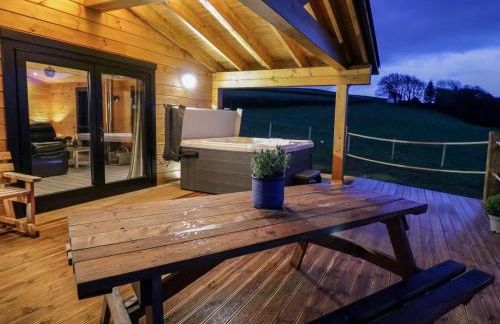 Bryn Eiddon Log Cabin - Photo 42