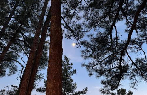 Gonzales Cozy Little Bear Cabin - Foto 12