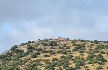 Apartmani Ines - Photo 33