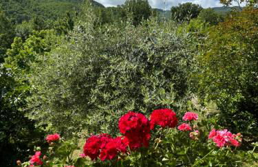 Voce del Casentino - Foto 10