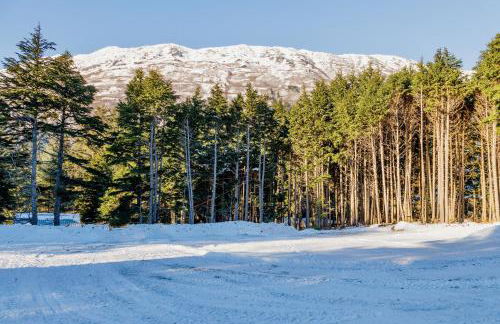The Monarch at Monarch Mine (Unit A, upper level) - Foto 27