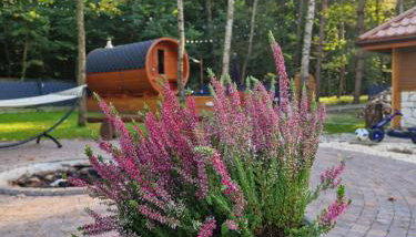 "Las po pas" domki na Roztoczu - Horyniec-Zdrój - Foto 4