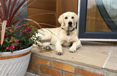 Luxury Glamping Pods with private Hot Tubs - Dog Friendly - Foto 6