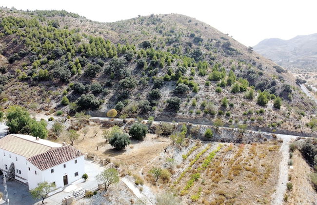 CASAS RURALES CORTIJO LEONTINO - Photo 48