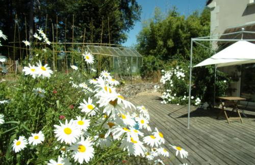 Maison Bois "Alaska" - Foto 6