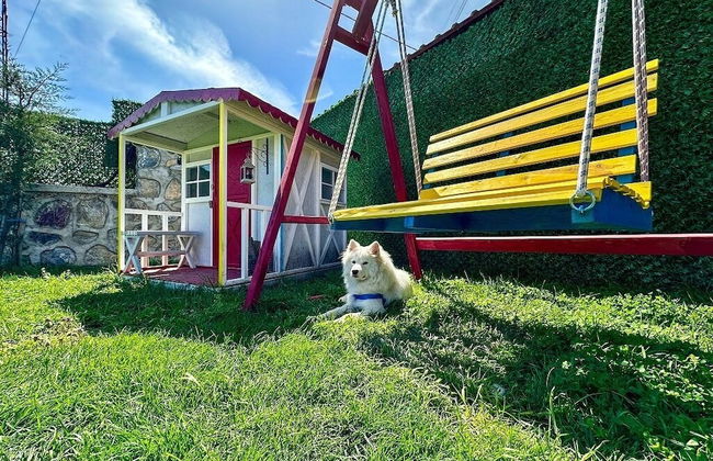 Patya BUNGALOV - Foto 40