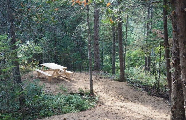 Domaine du parc de la forêt ouareau - Photo 36