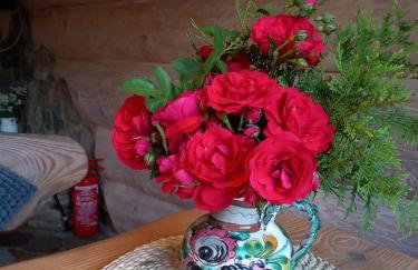 Chatka Ustrzyki - Foto 7