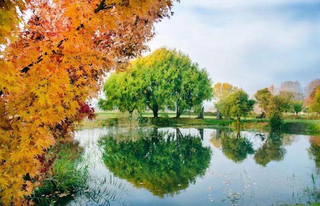 Eco Villa Mt Beauty Near Falls Creek & Bright - Photo 30