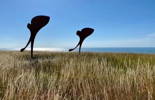 Plage à 50m Appartement Rêves étoilés Villa Les Bains de Mers - Foto 31