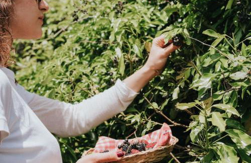 Holiday Home Cottage 'Laura' mit privatem Garten und Grill by Interhome - Foto 25