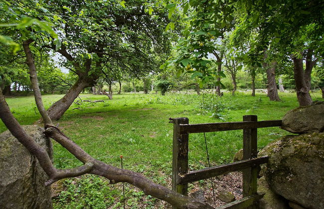 Lehnsgaard Ranch - Foto 31