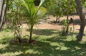 Rancho paraíso - Refúgio tranquilo, vista incrível - Foto 13