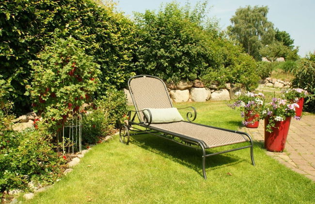 Reethus Star Kicker - Photo 23